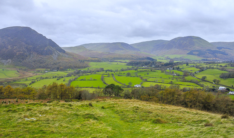 Carling Knott Carling Knott